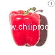 1 Bell Pepper 1 Bell Pepper